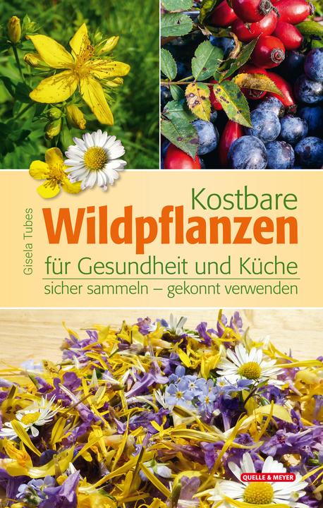 Produktbild Kostbare Wildpflanzen für Gesundheit und Küche (Deutsch, Gisela Tubes, 2022)