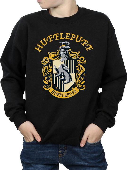 Produktbild Sweatshirt Jungen (116)
