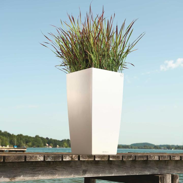 Image du produit Lechuza Cubico Color (39.50 cm)