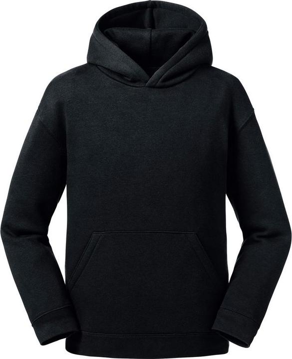 Russell Authentic Sweatshirt Mit Kapuze