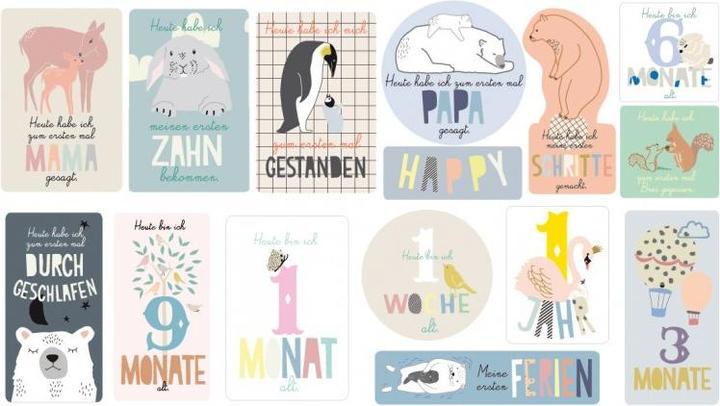 Actual product image Milestone MIMIlou Baby Cards (german)