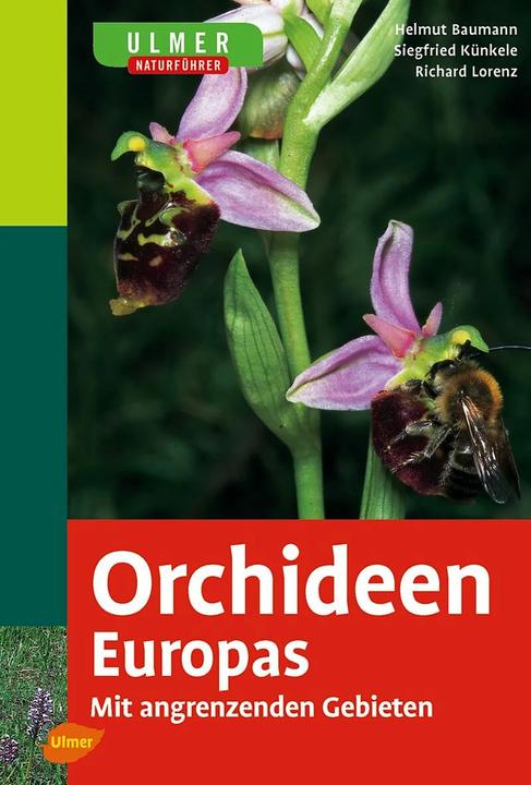 Ulmer Naturführer Orchideen Europas (Tedesco, Richard Lorenz, Siegfried Künkele, Helmut Baumann, 2006)