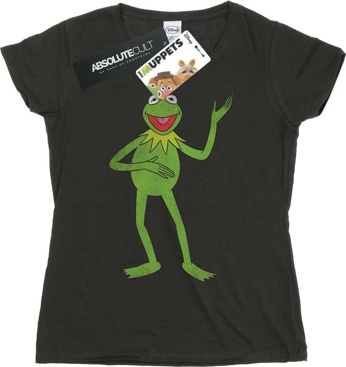 Actual product image Gildan Womens/Ladies Classic Kermit Heather T-Shirt (XXL)