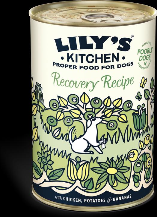 Produktbild Lily's Kitchen Recovery Recipe (Adult, 1 Stk., 400 g)