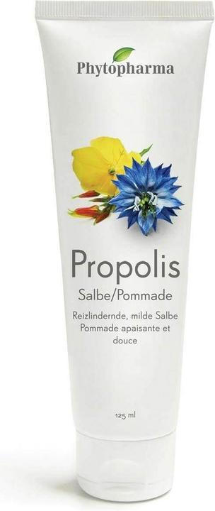 Phytopharma Propolis comp. Salbe 12 (Körpercreme, 125 ml)