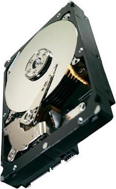 Productafbeelding Seagate Sterrenbeeld ES (2 TB, 3.5")