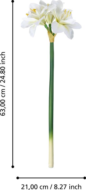 Image du produit EGLO LIVING Molave (63 cm)