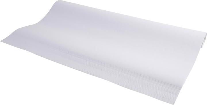 Exacompta Blocco per lavagna a fogli mobili (63 x 98 cm)
