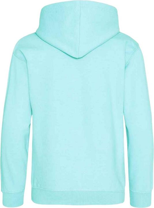 Actual product image Awdis Childrens/Kids Hoodie (140, 146)