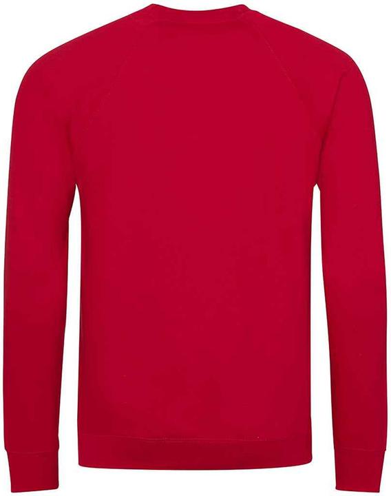 Actual product image Awdis Childrens/Kids Academy Raglan Sweatshirt (S)