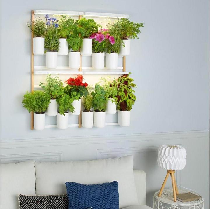 Produktbild Prêt à Pousser Modulo 2 (30.50 cm)