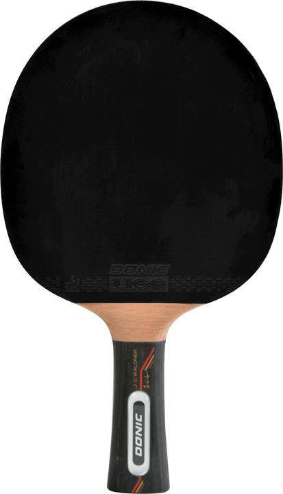 Actual product image Donic Schildkröt Waldner 5000
