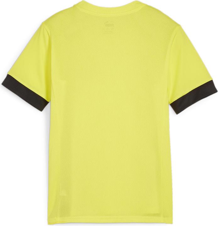 Actual product image Puma teamGOAL Matchday Jersey jr (128)