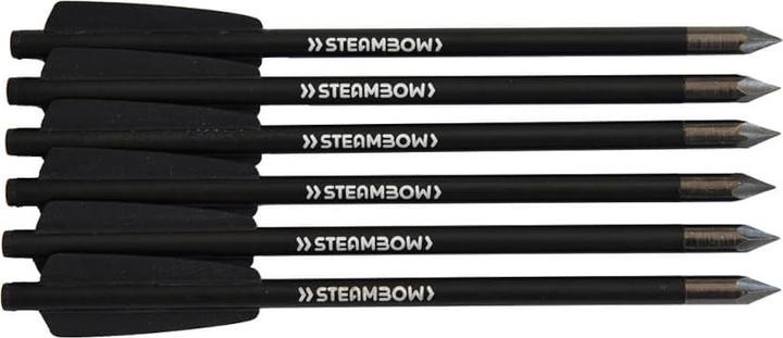Steambow AR-Serie Bodkinpfeile