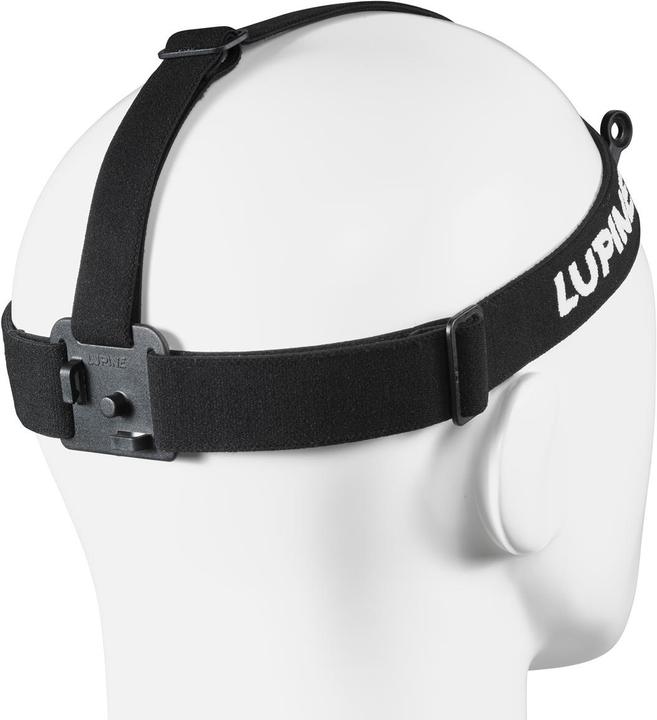 Image du produit Lupine Bandeau