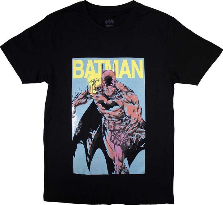 Batman - Pop Colours