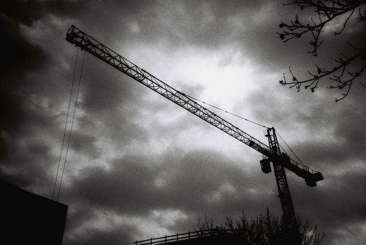 Image du produit Lomo Earl Grey B&W ISO100 paquet de 3