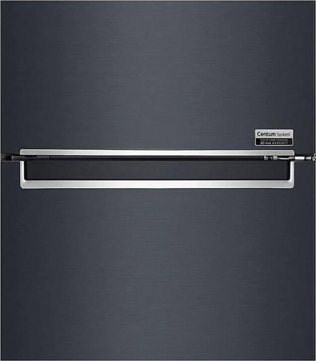 Actual product image LG GBB92MCBAP (384 l)