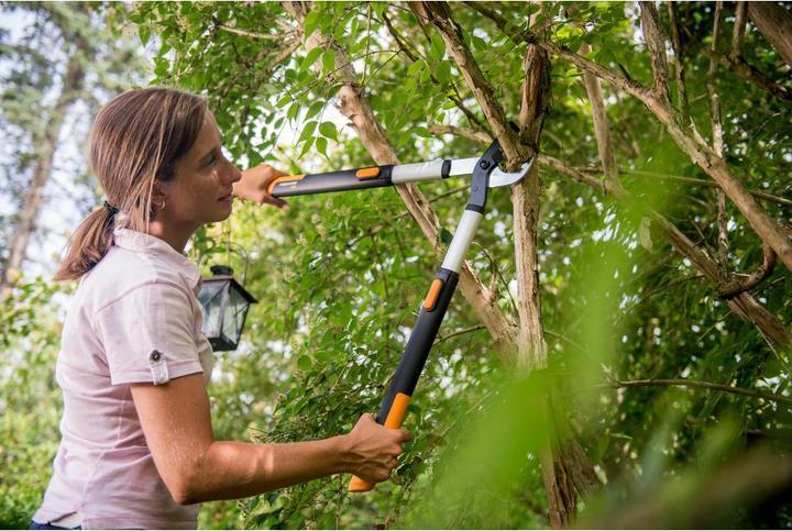 Image du produit Fiskars Sécateur d'élagage télescopique