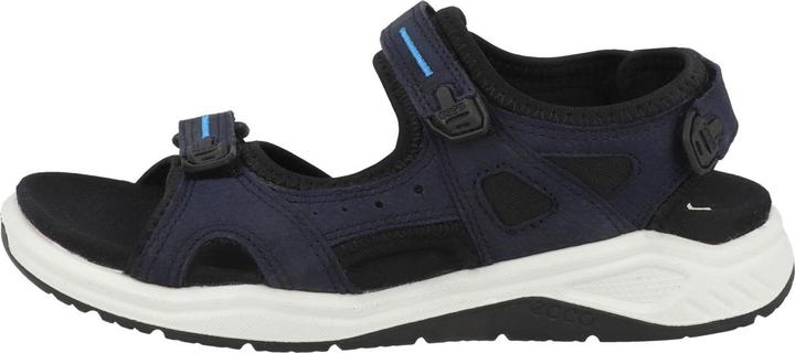 Ecco X trinsic