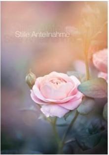 Actual product image Cart Sympathy card Rose