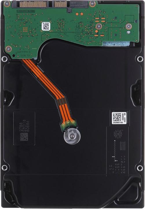 Actual product image Seagate Exos X22 (22 TB, 3.5", CMR)