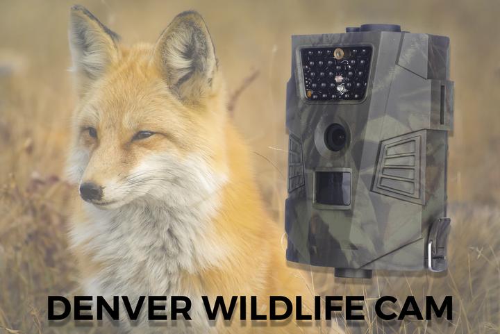 Actual product image Denver WCT-5002