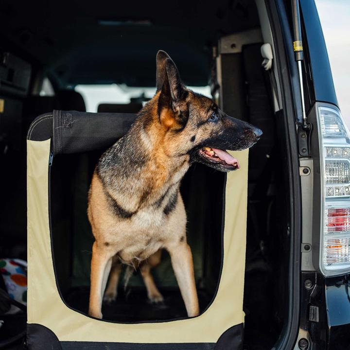 Produktbild Fudajo Transportbox (Hund, Faltbar, Atmungsaktiv)
