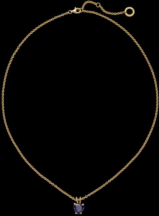 Actual product image Paul Hewitt PH-JE-0148 (Steel, 45 - 50 cm)