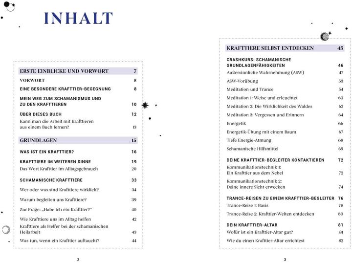 Image du produit Praxisbuch Schamanische Krafttiere – Entdecke deine Seelenbegleiter (Allemand, Benjamin Maier, 2022)