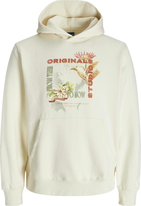 Jack & Jones Jorlucca Graphic Sweat Hood Ciff Ln