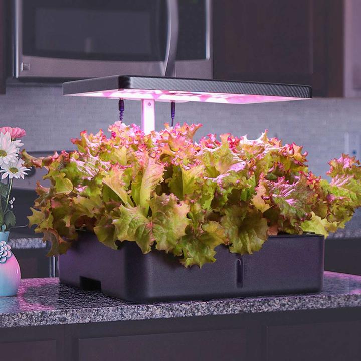 Actual product image Litrax LX202 - ROBIN salad garden