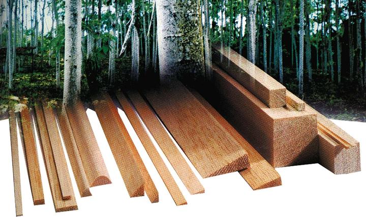 Actual product image Modellbau Lindinger Pine square moulding 2x15x1000mm