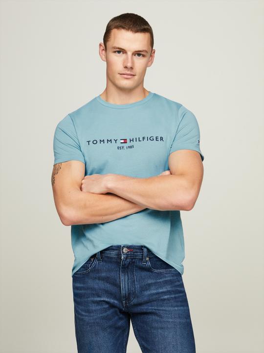 Actual product image Tommy Hilfiger Tommy Logo Tee (M)