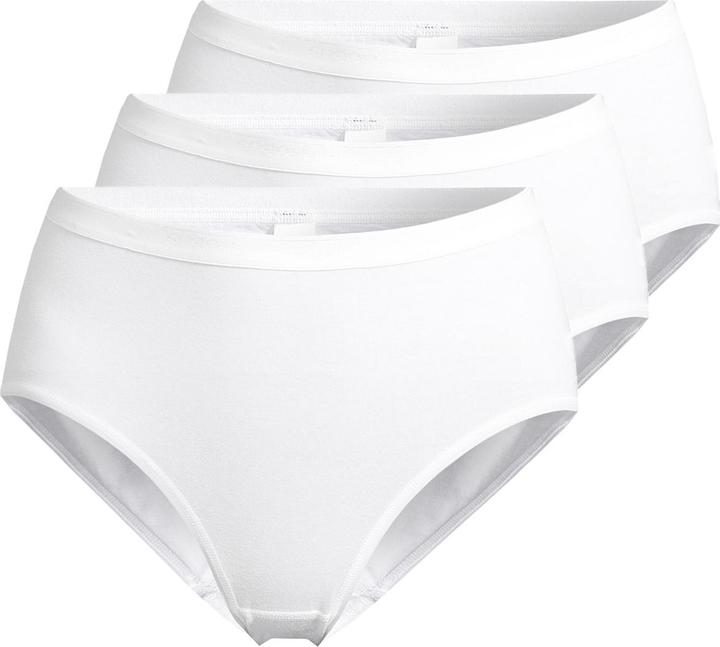 Actual product image Speidel 3-pack Everyday Maxi Briefs (40, L, pack of 3)