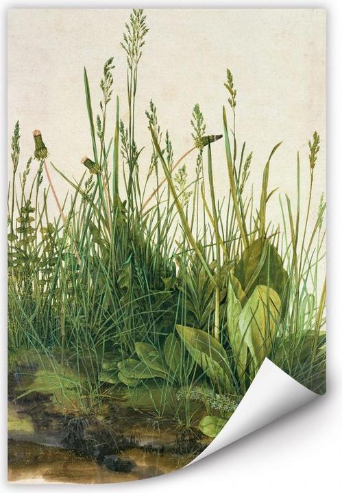 Produktbild Trenddeko Das grosse Rasenstück (50 x 80 cm)