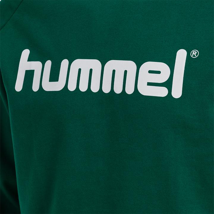 Image du produit hummel Go Cotton Logo Hoodie (S)