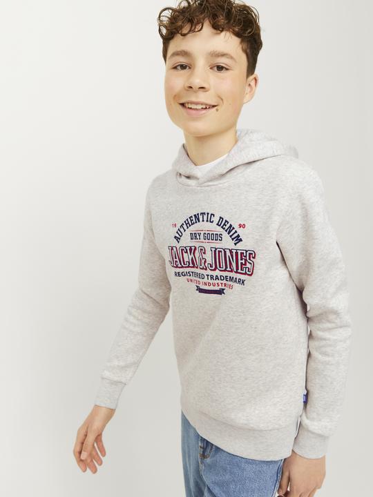 Produktbild Jack & Jones JJELOGO SWEAT HOOD 2 COL 24/25 NOOS JNR (152)