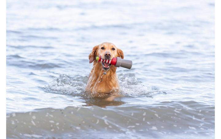 Actual product image Trixie Floating toy Aqua Toy Lighthouse 20 cm, orange, grey (Dog chew toy)