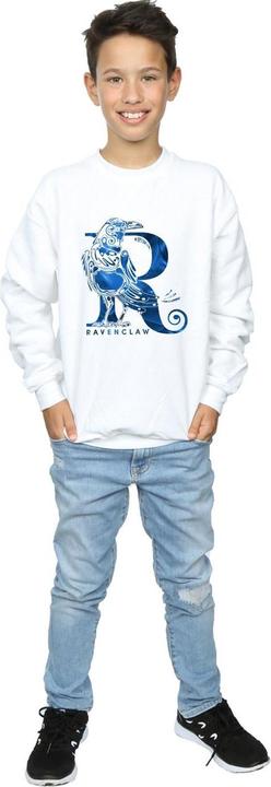Actual product image Boys Ravenclaw Raven Sweatshirt (116)