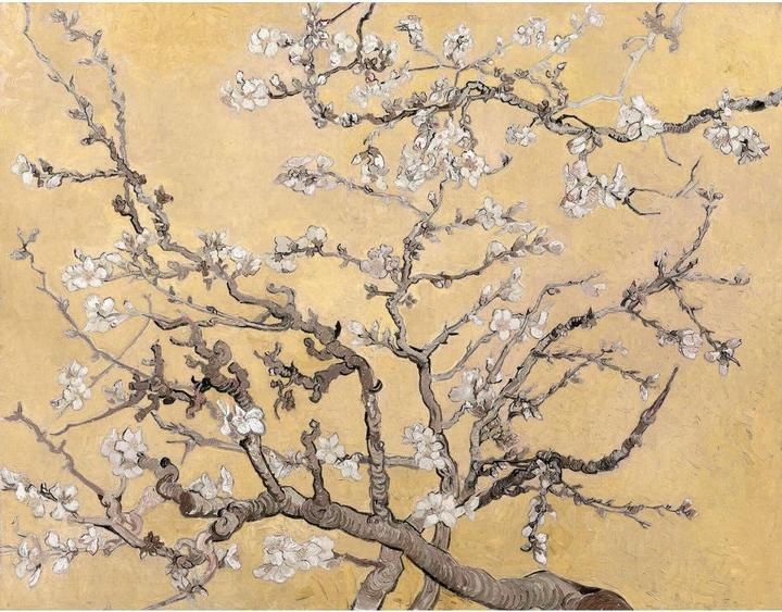 Produktbild Trenddeko van Gogh - Mandelblüte (336 x 260 cm)