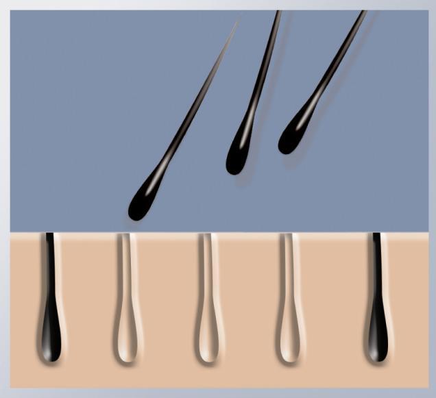 Immagine prodotto Remington Controllo compatto HPL