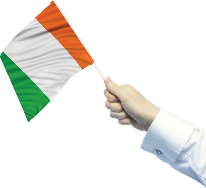 Immagine prodotto Amscan Bandiera Irlandese Bandiera che Sventola Misura Confezione 4