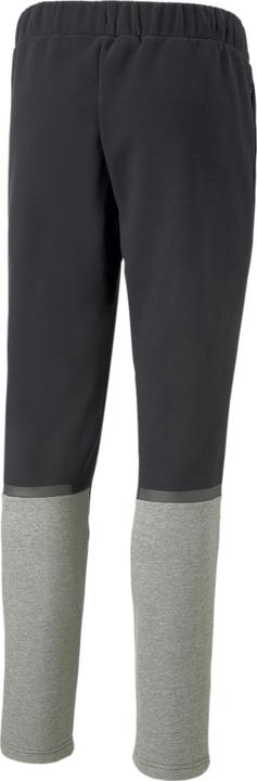 Actual product image Puma teamCUP Casuals Pants (L)
