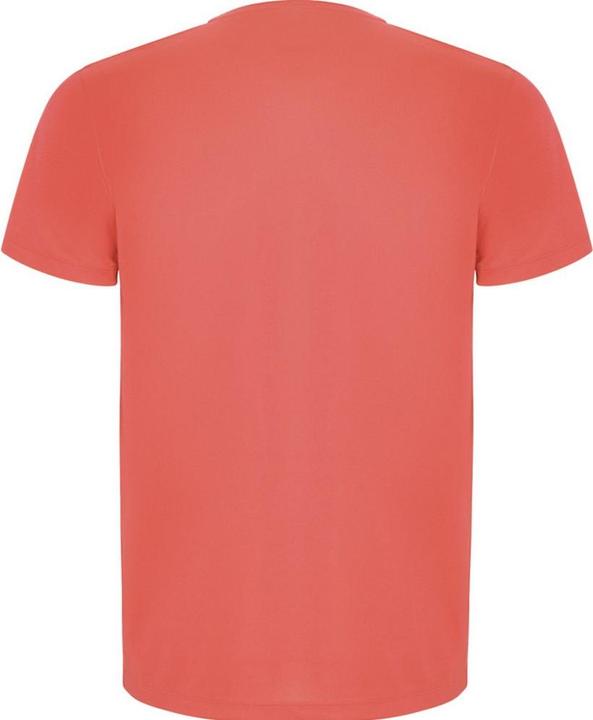 Actual product image Alpinia Mens Imola Short-Sleeved Sports T-Shirt (S)