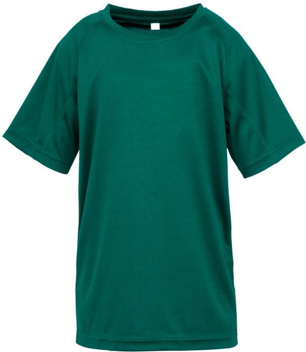 verde bottiglia