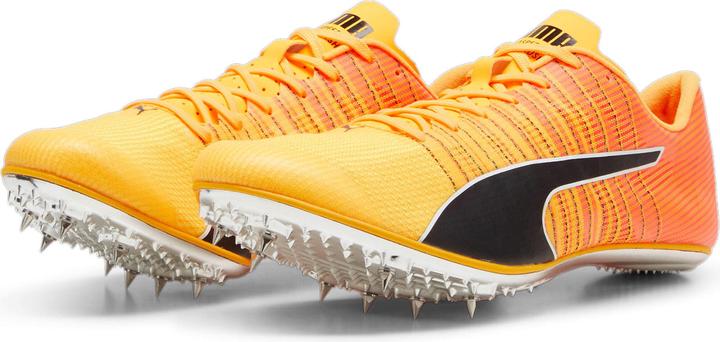 Produktbild Puma evoSPEED BRUSH 6 (37)
