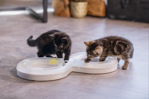 Actual product image Beeztees Bz Kitten Pl Game Rail Agty