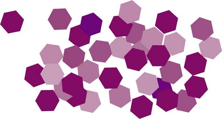 Viola