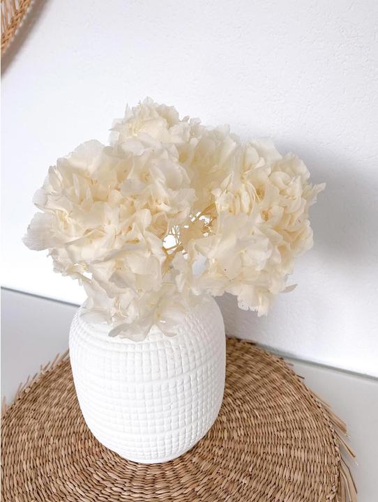 Actual product image Soli Collection Hortensien (Dried flowers)
